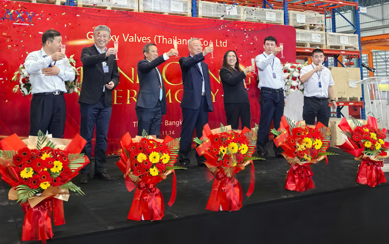 Galaxy Valve first overseas production facility goes into mass production