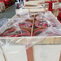 Packing Inspection