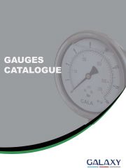 Galaxy-Gauge