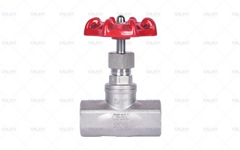 Stainless Steel Threaded Globe Valve